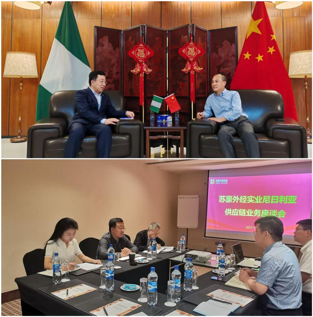 苏豪控股集团副总裁李明一行考察调研公司尼日利亚供应...